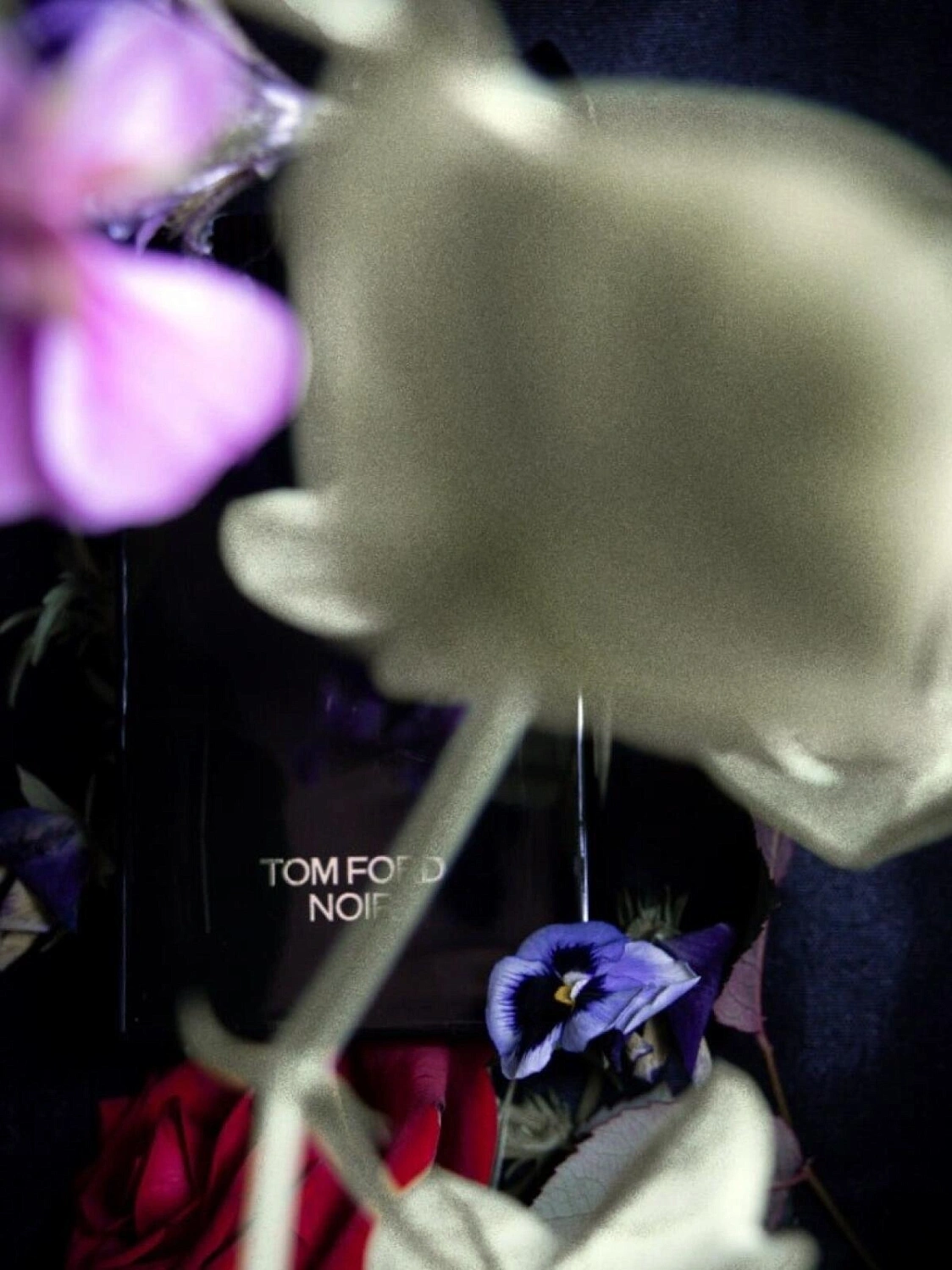 Tom Ford Noir