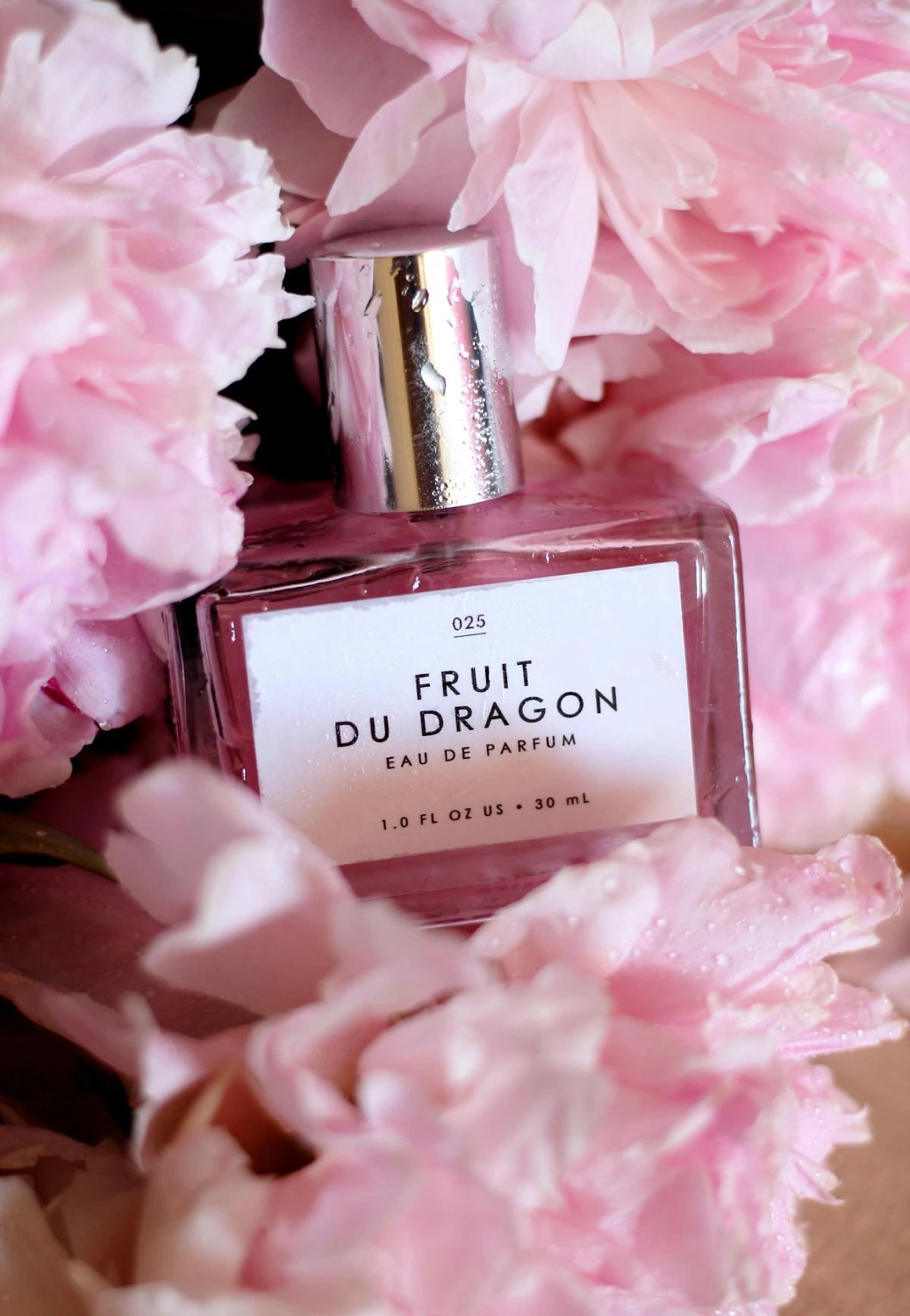 Le Monde Gourmand Fruit du Dragon