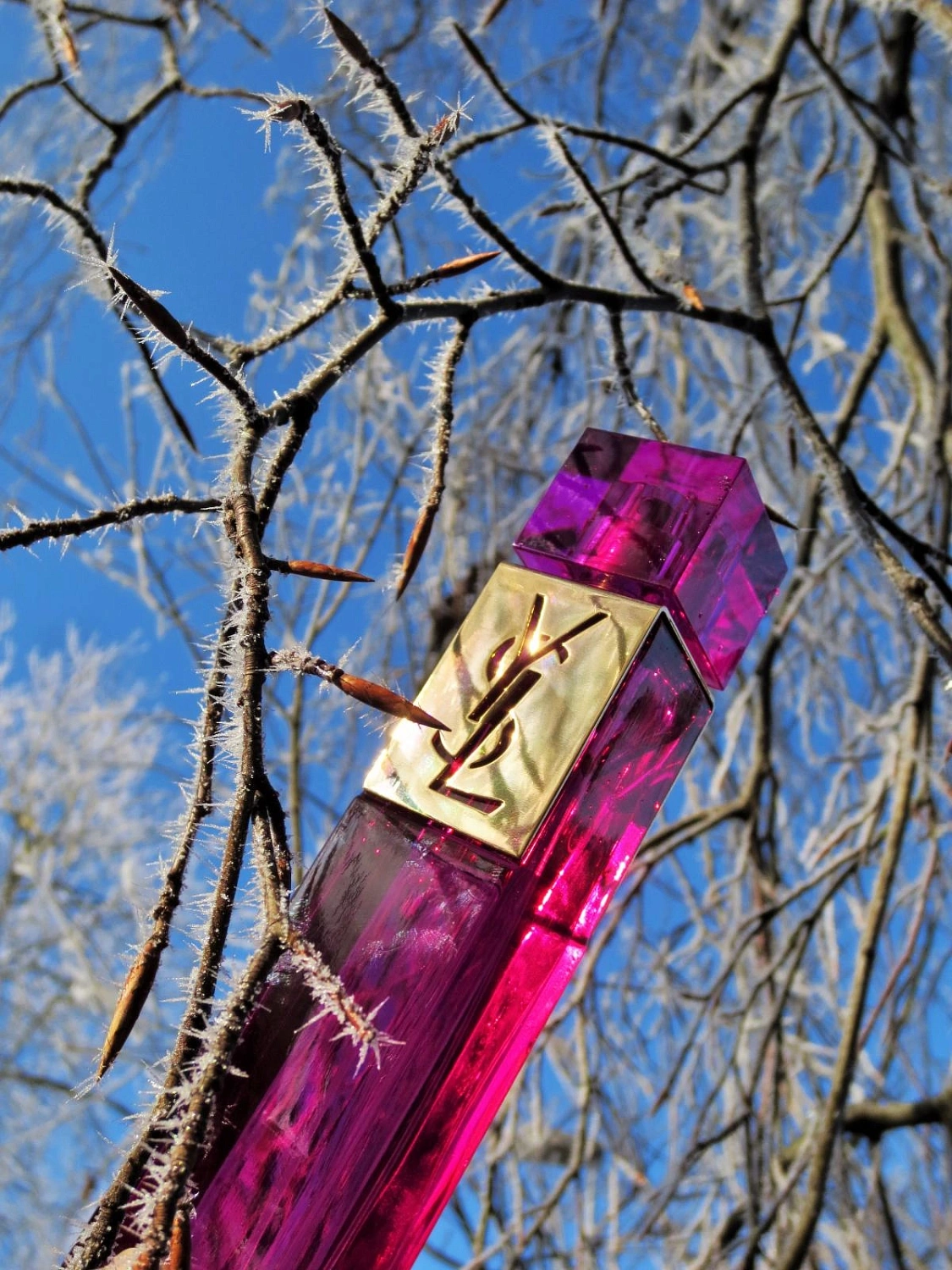 Yves Saint Laurent Elle