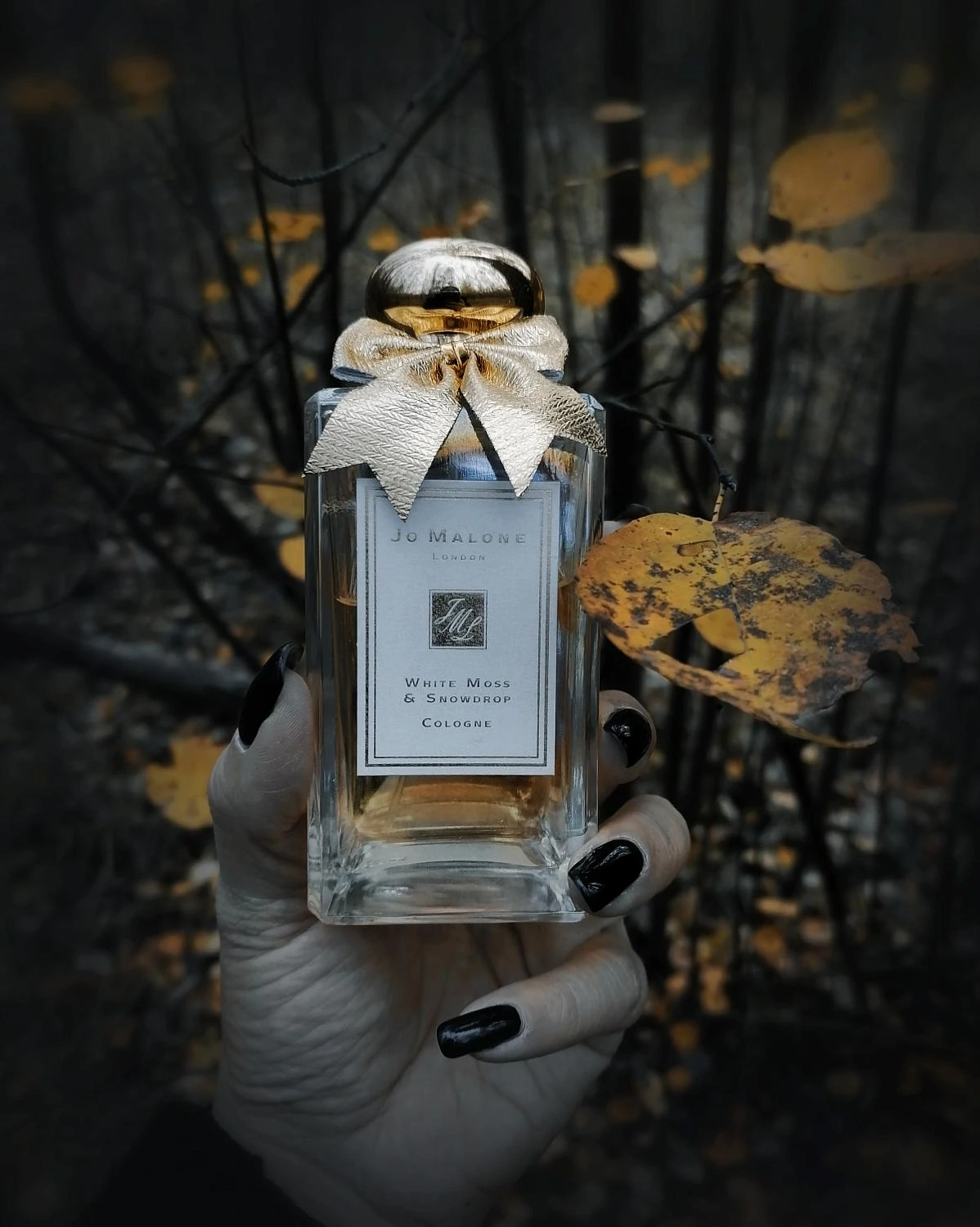Jo Malone White Moss & Snowdrop