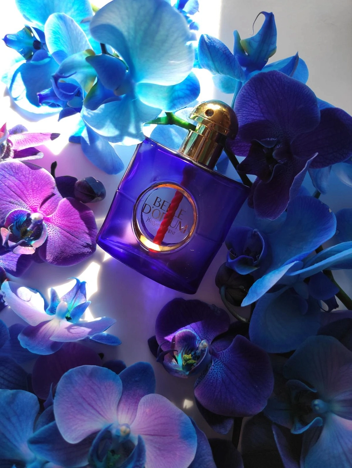 Yves Saint Laurent Belle d'Opium