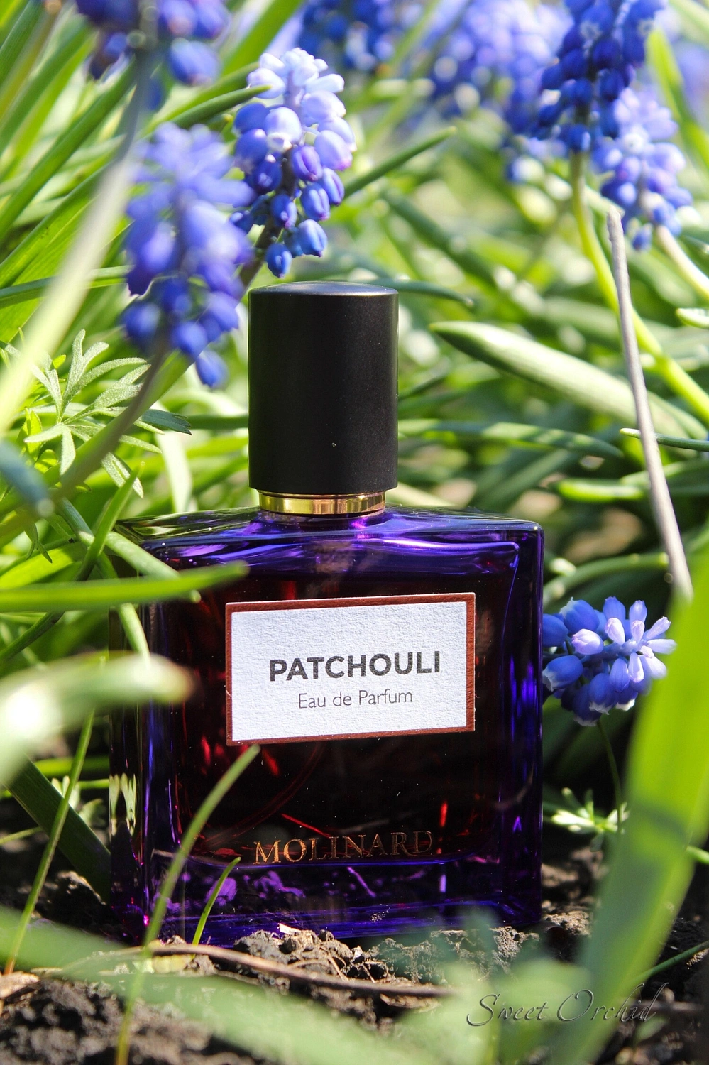 Molinard Patchouli