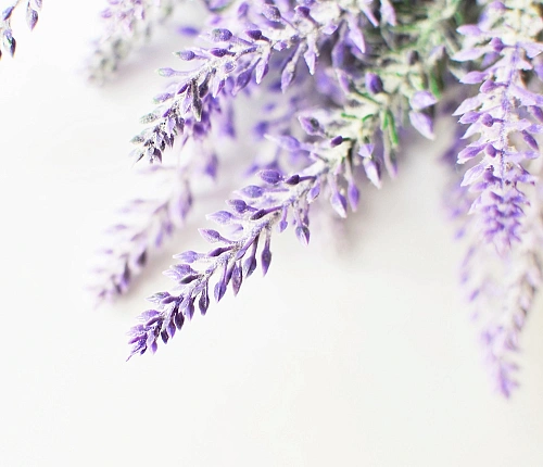 Компания Creations Aromatiques (Креасьон Ароматик)