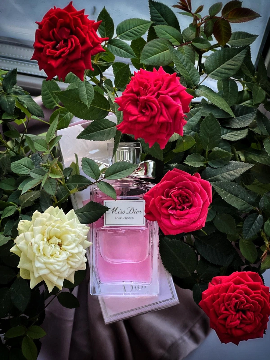 Christian Dior Miss Dior Rose N'Roses