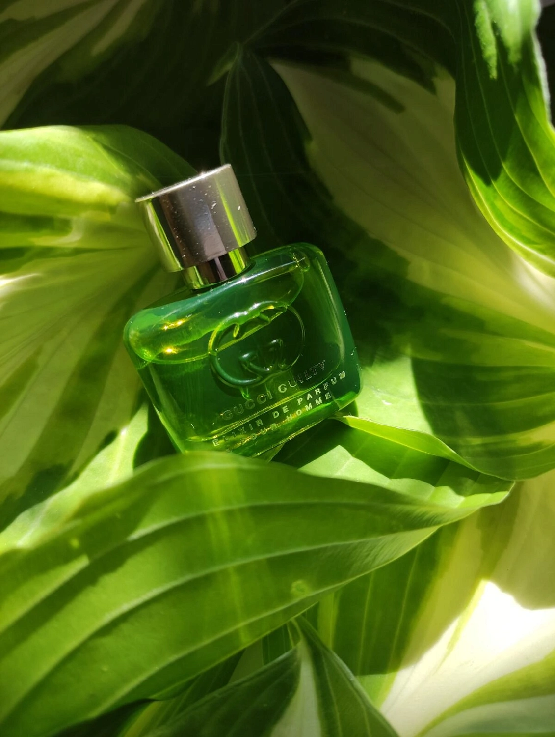 Gucci Guilty Elixir de Parfum pour Homme