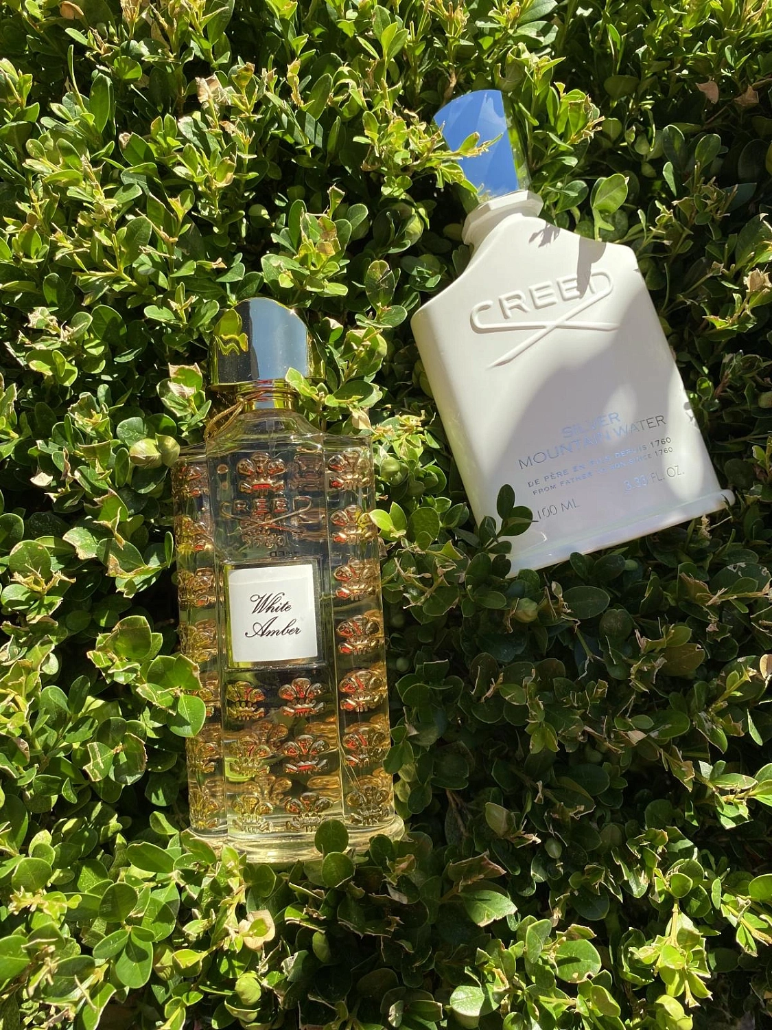 Creed White Amber