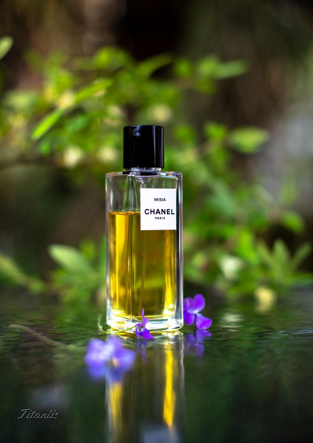 Les Exclusifs de Chanel Misia