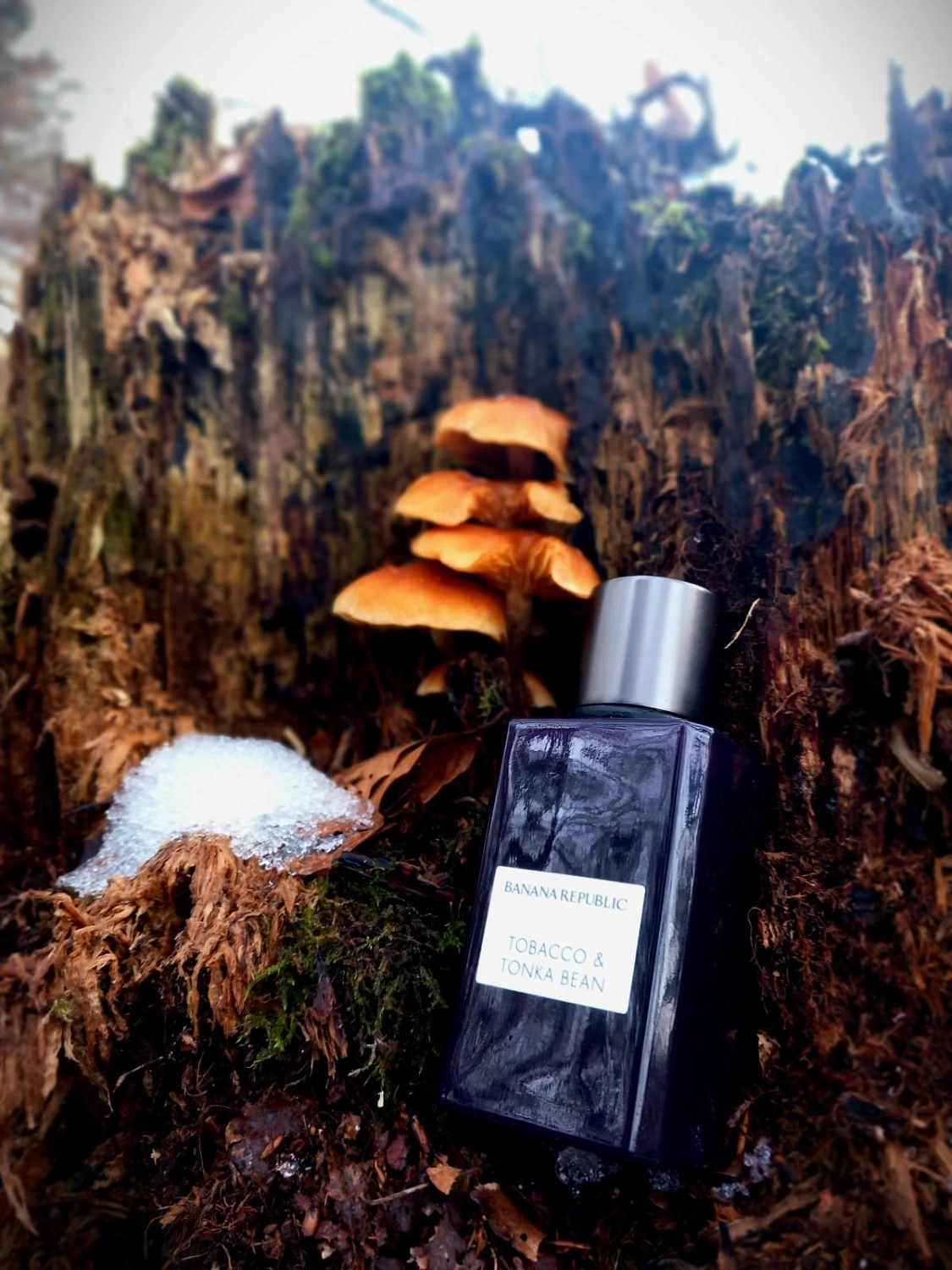 Banana Republic Tobacco & Tonka Bean