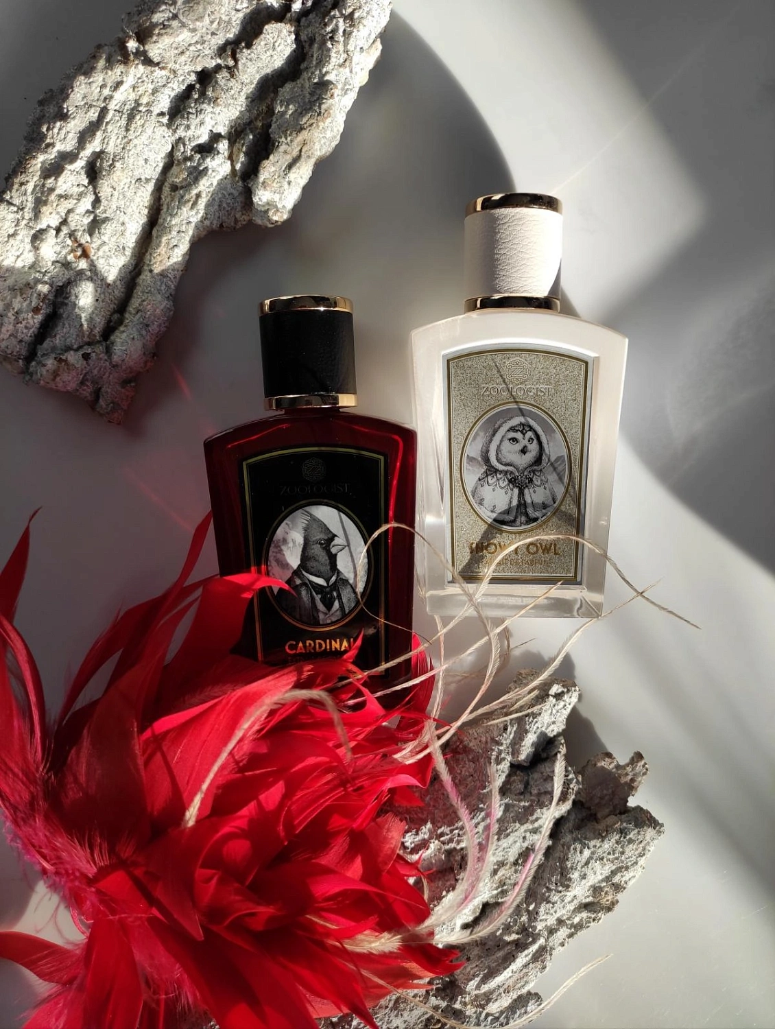 Zoologist Perfumes Northern Cardinal