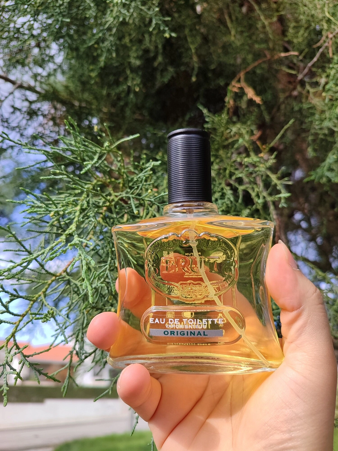Fabergé Brut Original