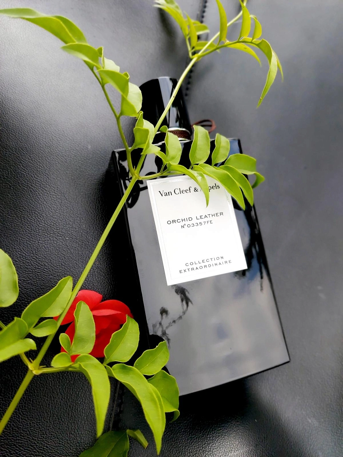Van Cleef & Arpels Collection Extraordinaire Orchid Leather