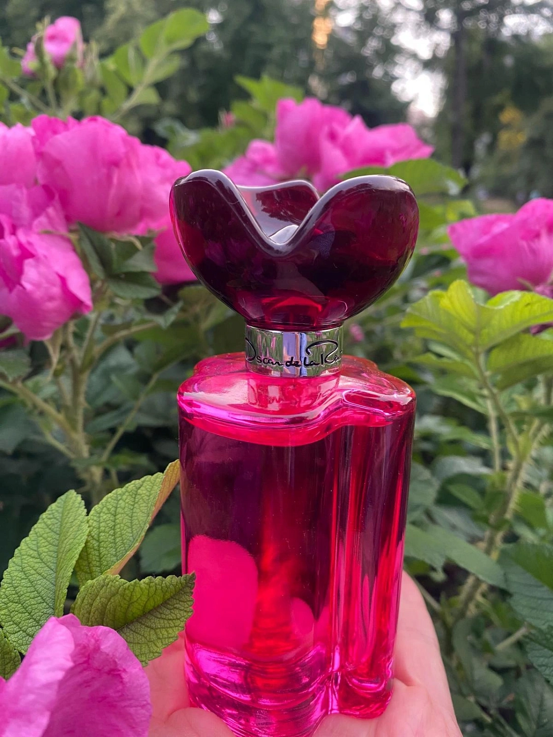 Oscar de la Renta Oscar Rose