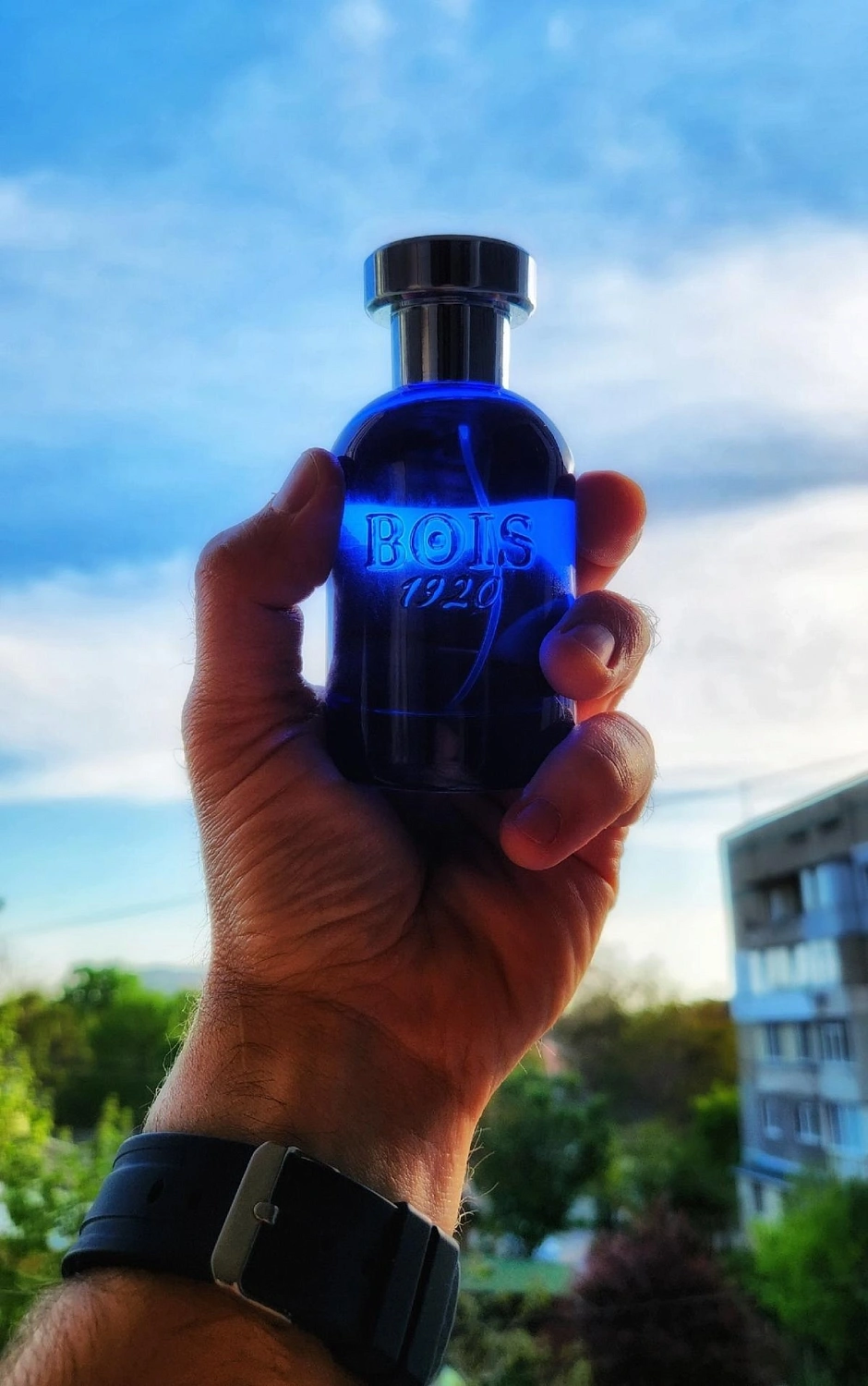Bois 1920 Oltremare