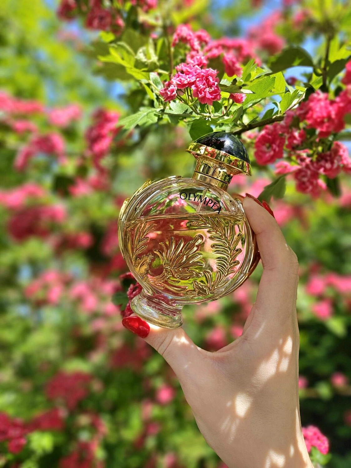 Paco Rabanne Olympea Solar