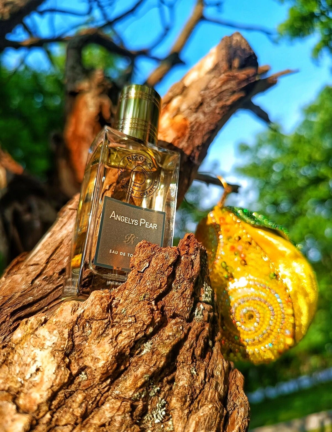 Nicolaï Angelys Pear