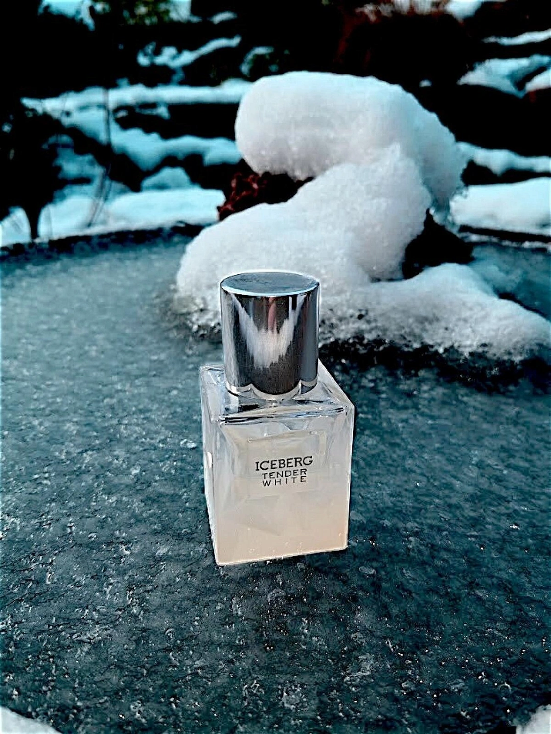 Iceberg Tender White