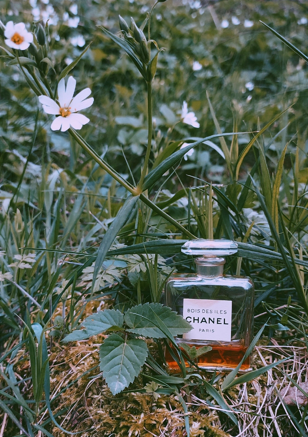 Chanel Bois des Iles
