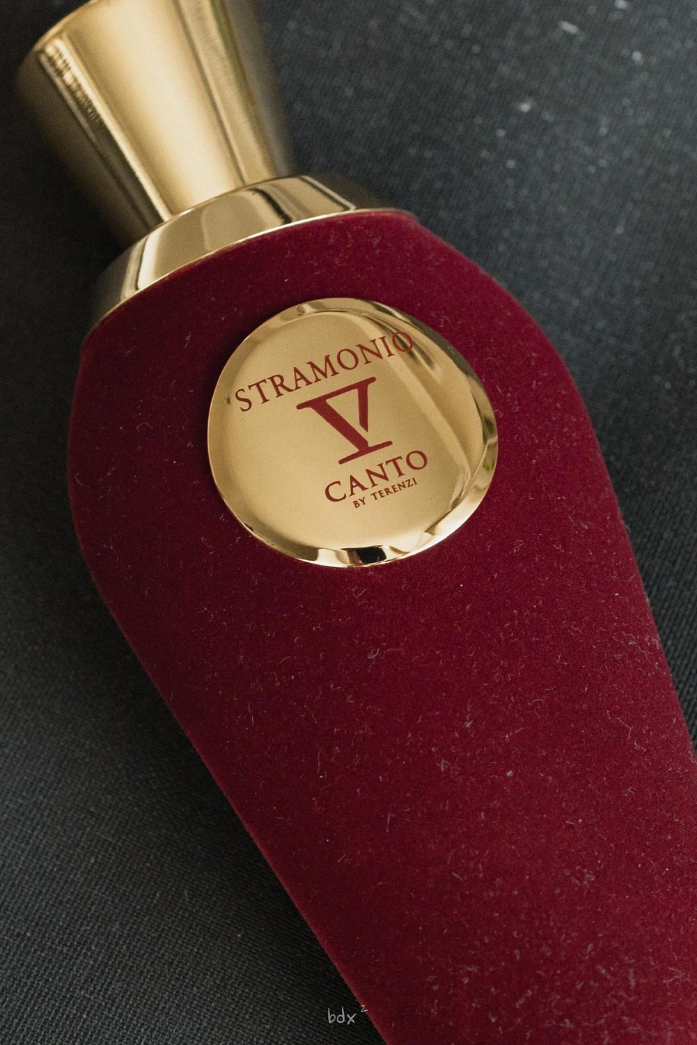 V Canto Stramonio