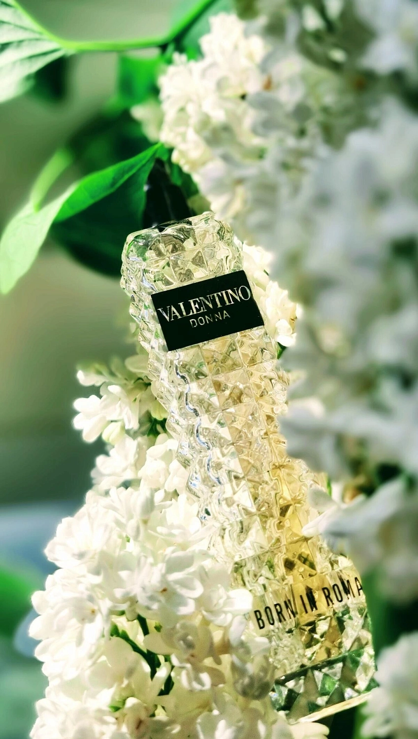 Valentino Donna Born In Roma
