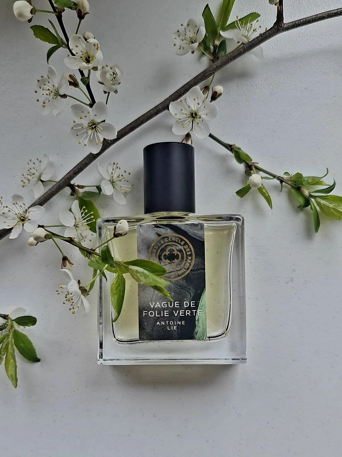Le Cercle des Parfumeurs Créateurs Vague de Folie Verte