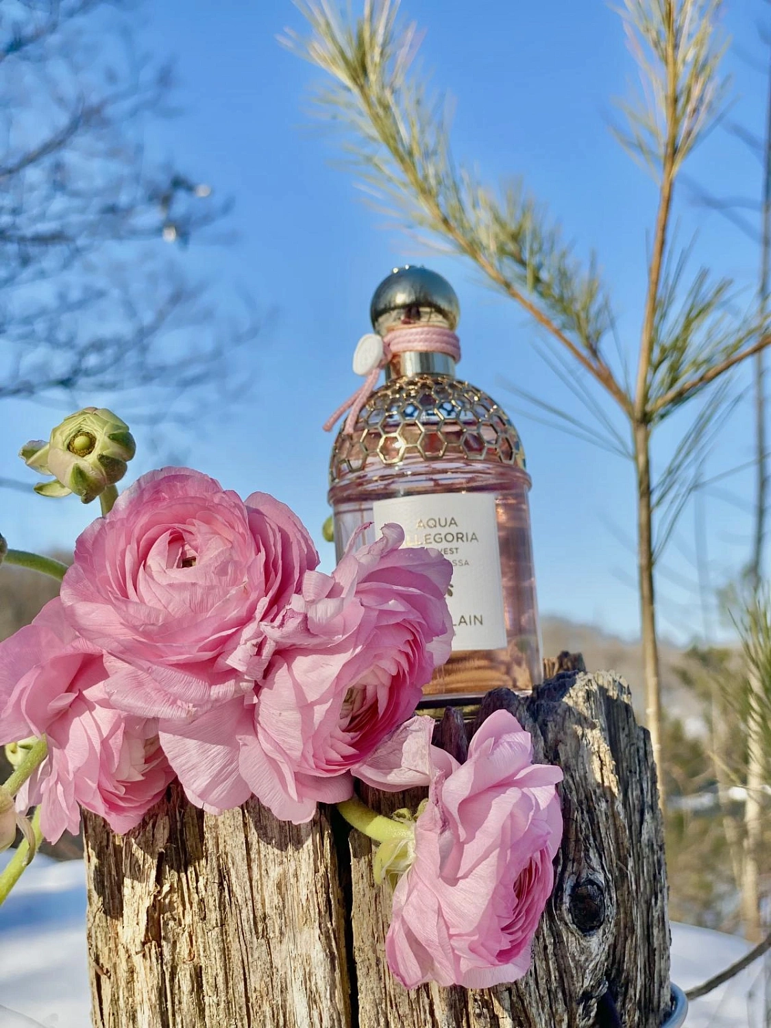 Guerlain Rosa Rossa Harvest