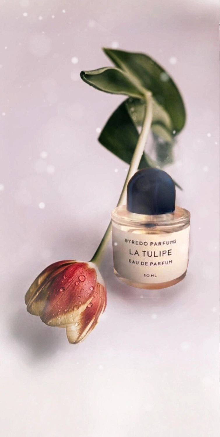 BYREDO La Tulipe