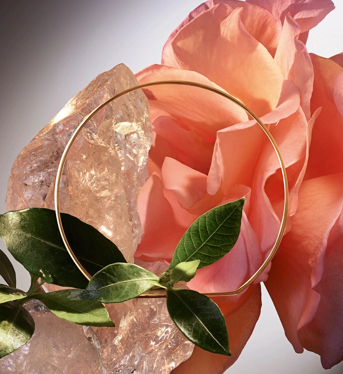 Lancôme Absolue Le Parfum