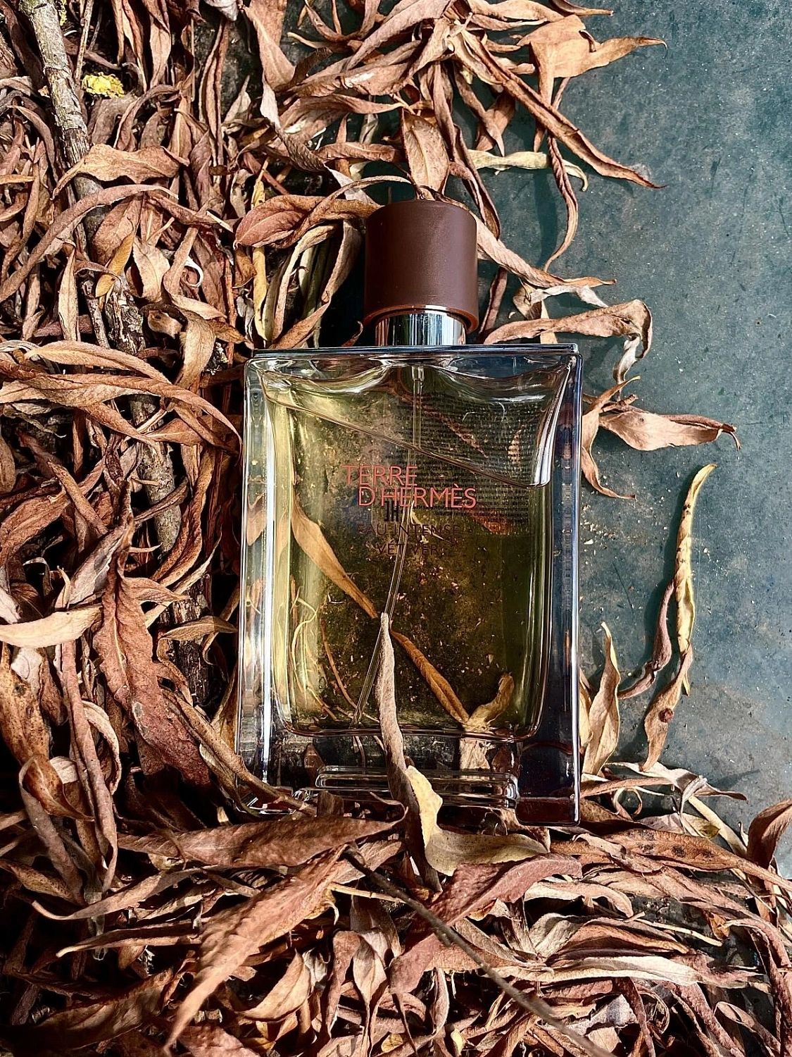 Terre d'Hermès Eau Intense Vetiver
