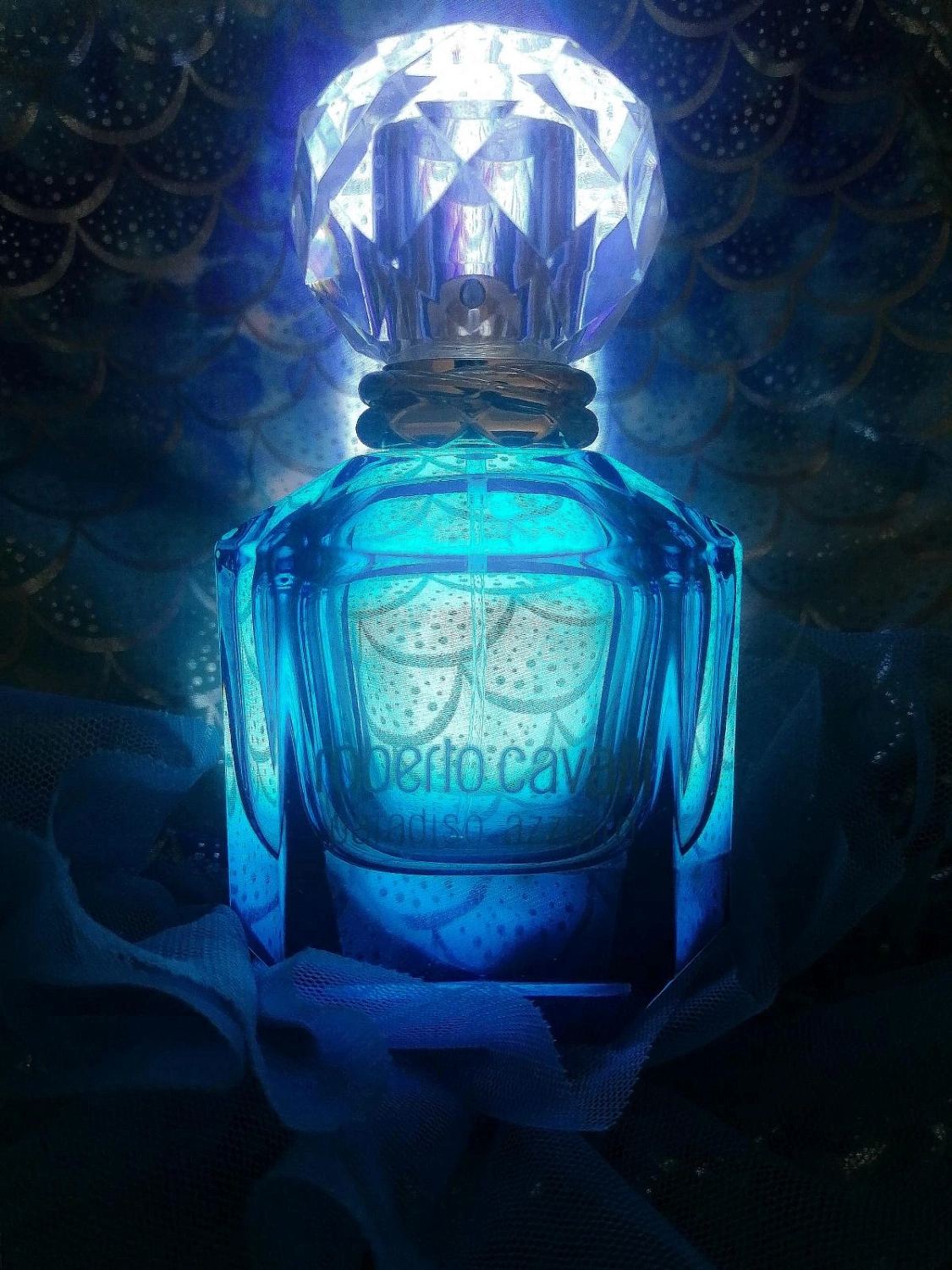 Roberto Cavalli Paradiso Azzurro