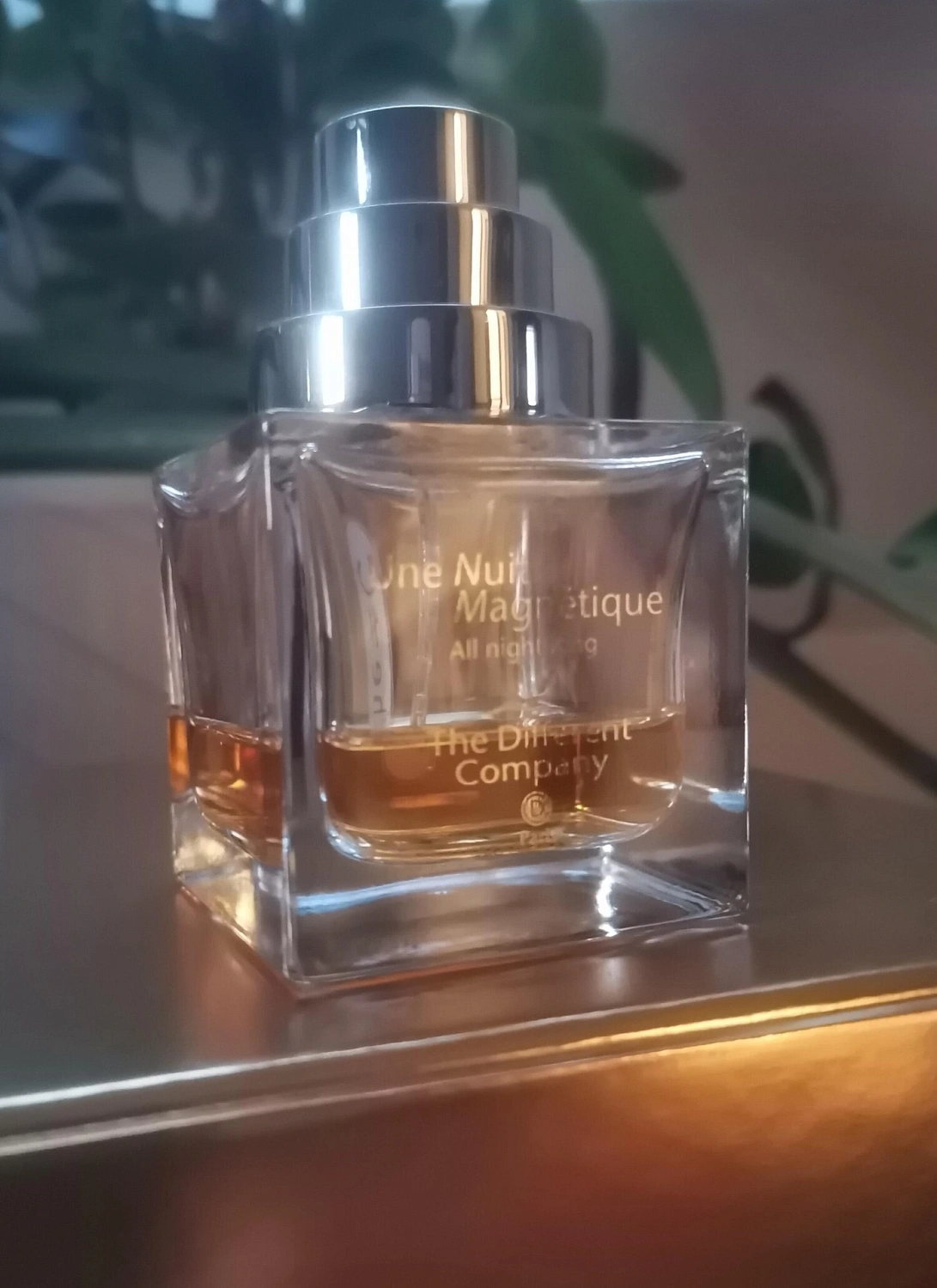 The Different Company Une Nuit Magnetique - All Night Long