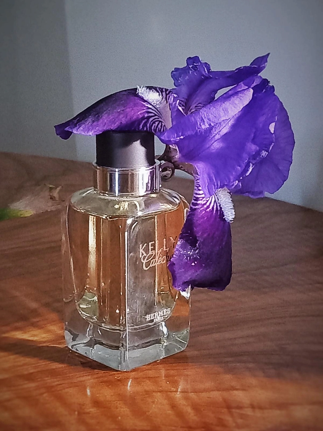 Hermès Kelly Caleche