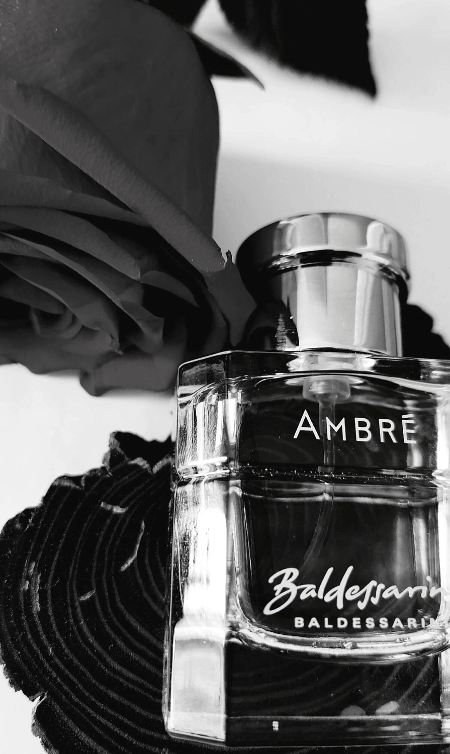 Baldessarini Ambre