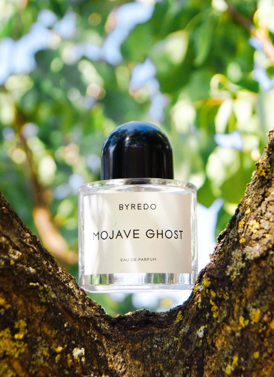 BYREDO Mojave Ghost