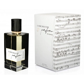 Фото L'Orchestre Parfum The Darbouka
