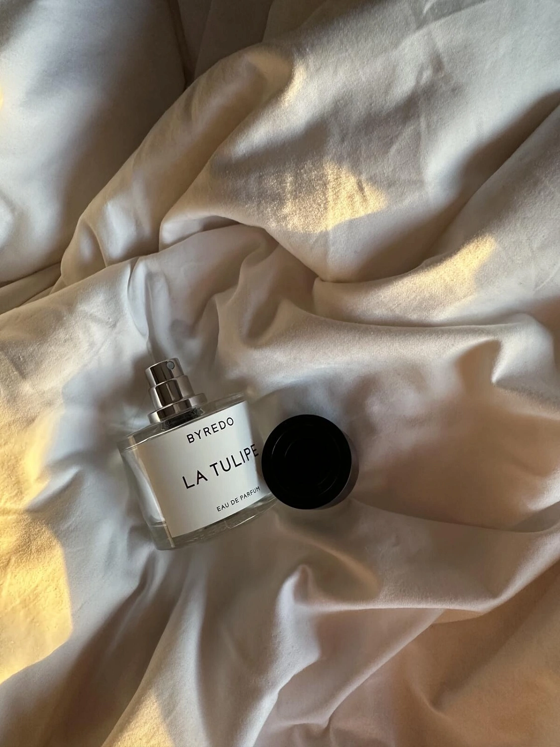 BYREDO La Tulipe
