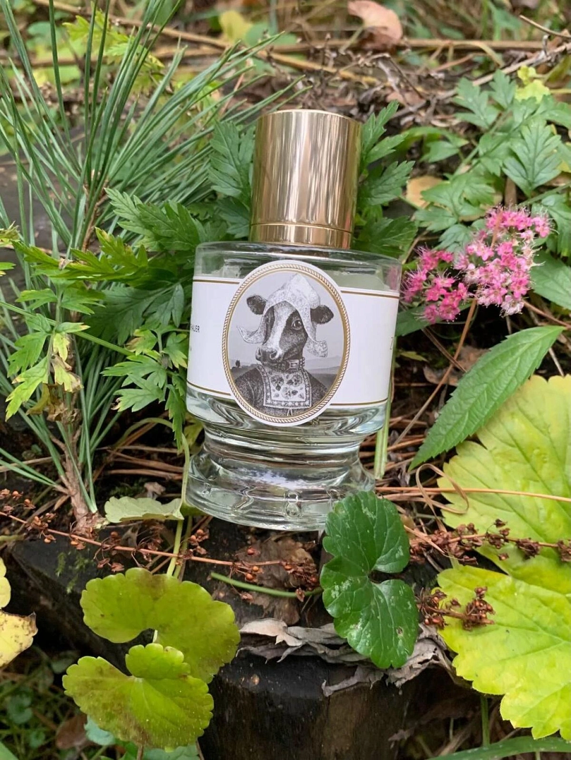 Zoologist Perfumes Cow
