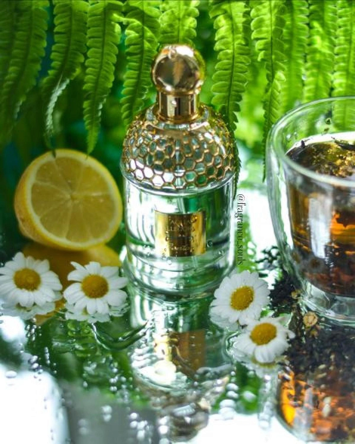 Guerlain Aqua Allegoria Teazzurra