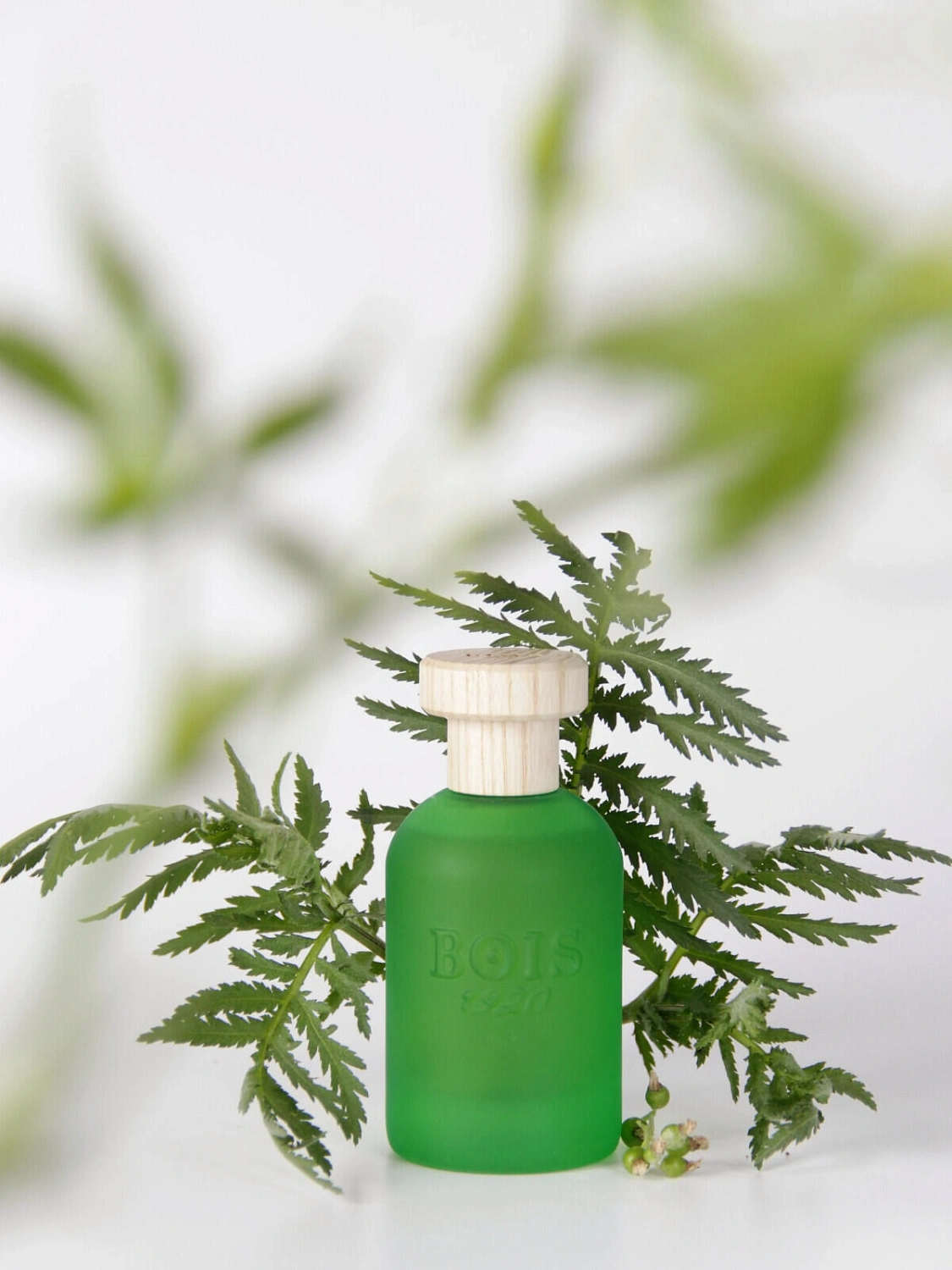 Bois 1920 Cannabis