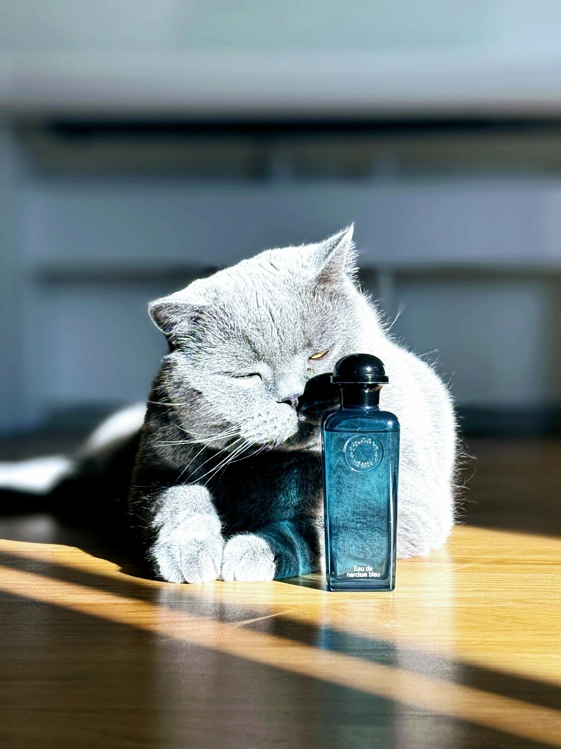 Hermès Eau de Narcisse Bleu