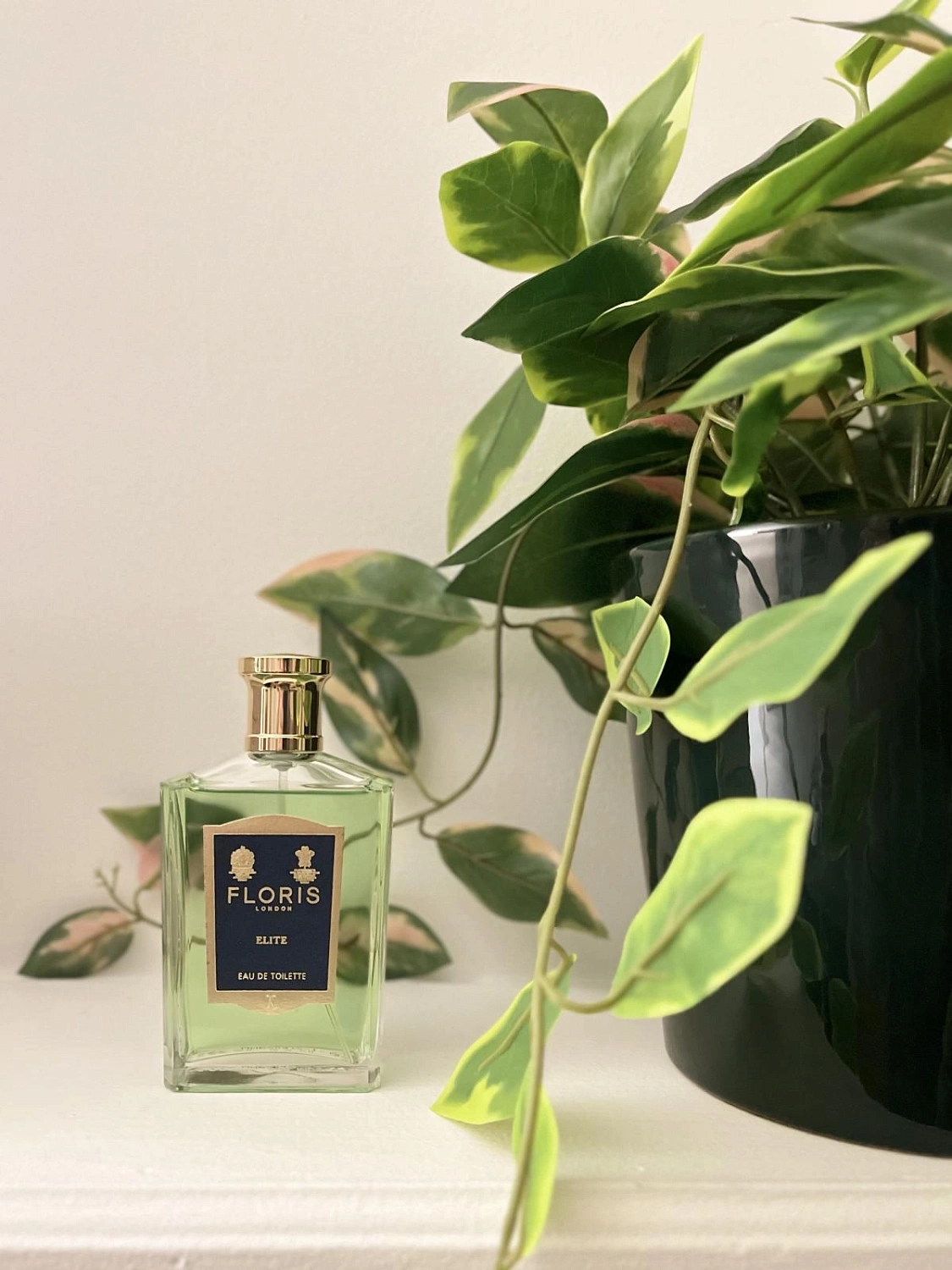 Floris Elite