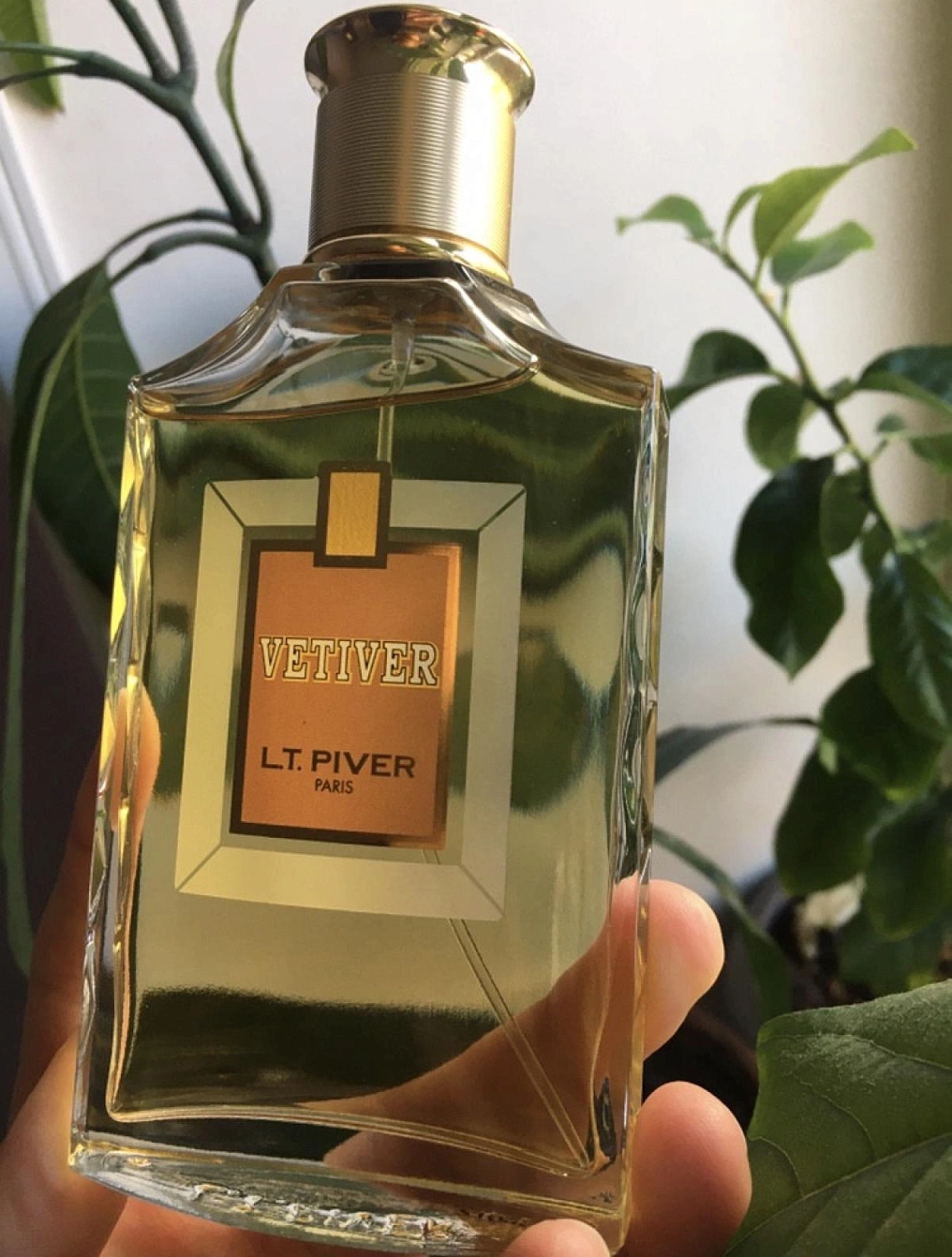 L.T. Piver Vetiver