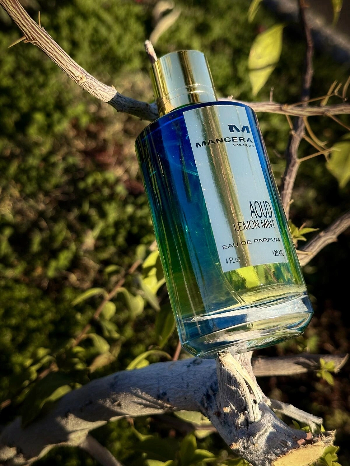 Mancera Aoud Lemon Mint