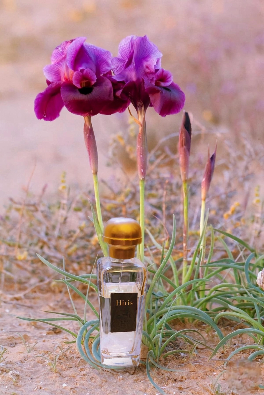 Hermès Hiris