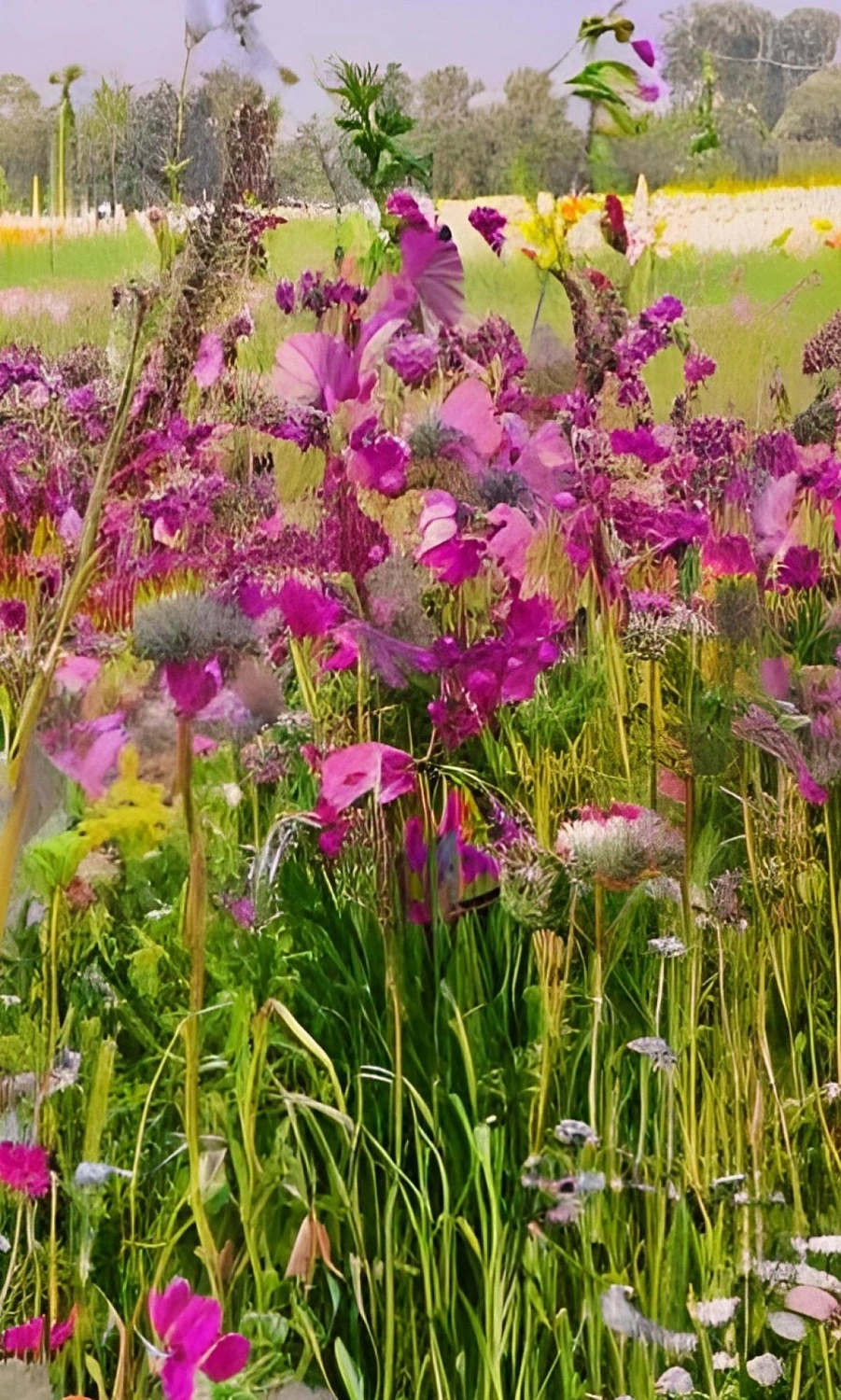 Maison Margiela Springtime in a Park