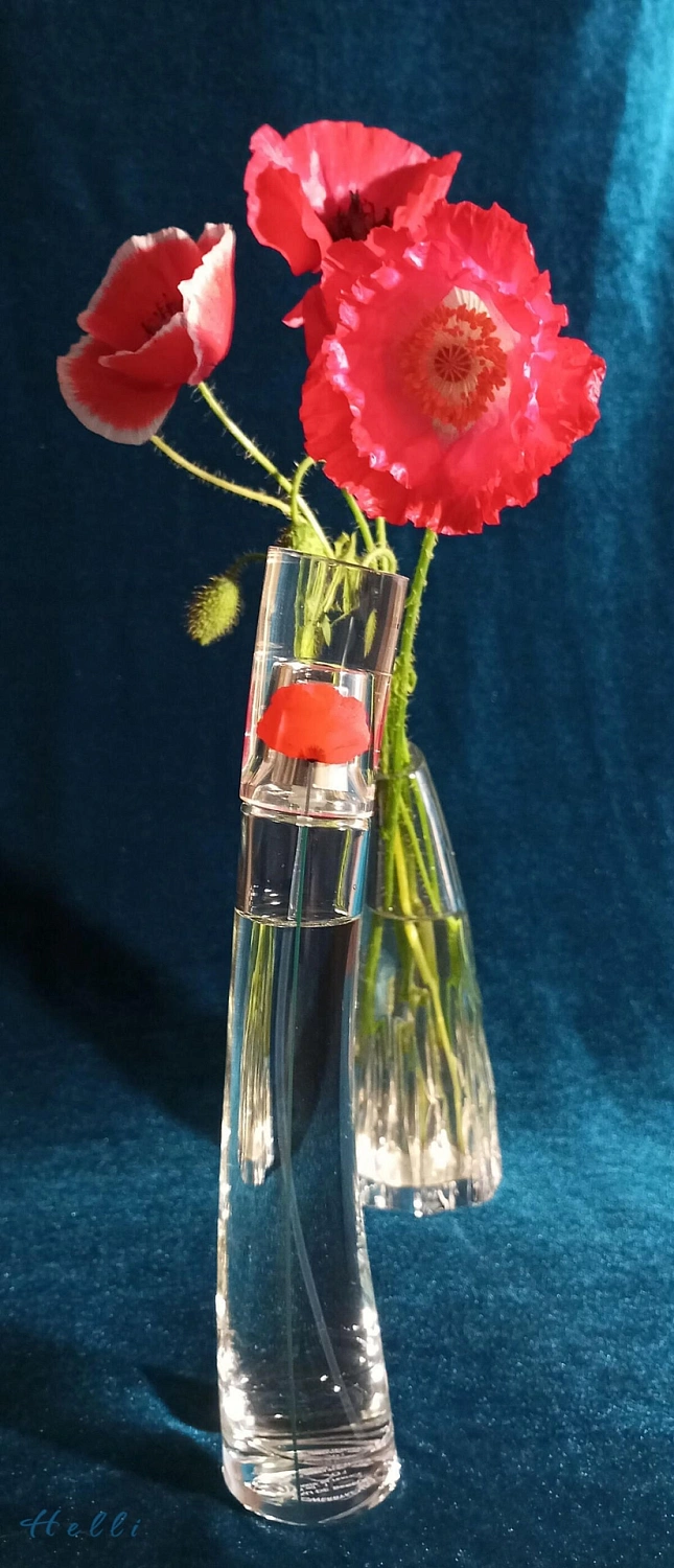 Flower by Kenzo Ryoko