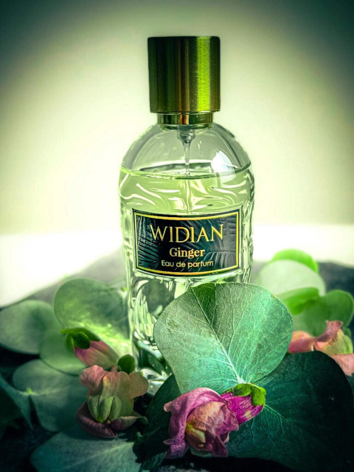 AJ Arabia Widian Rose Arabia Ginger