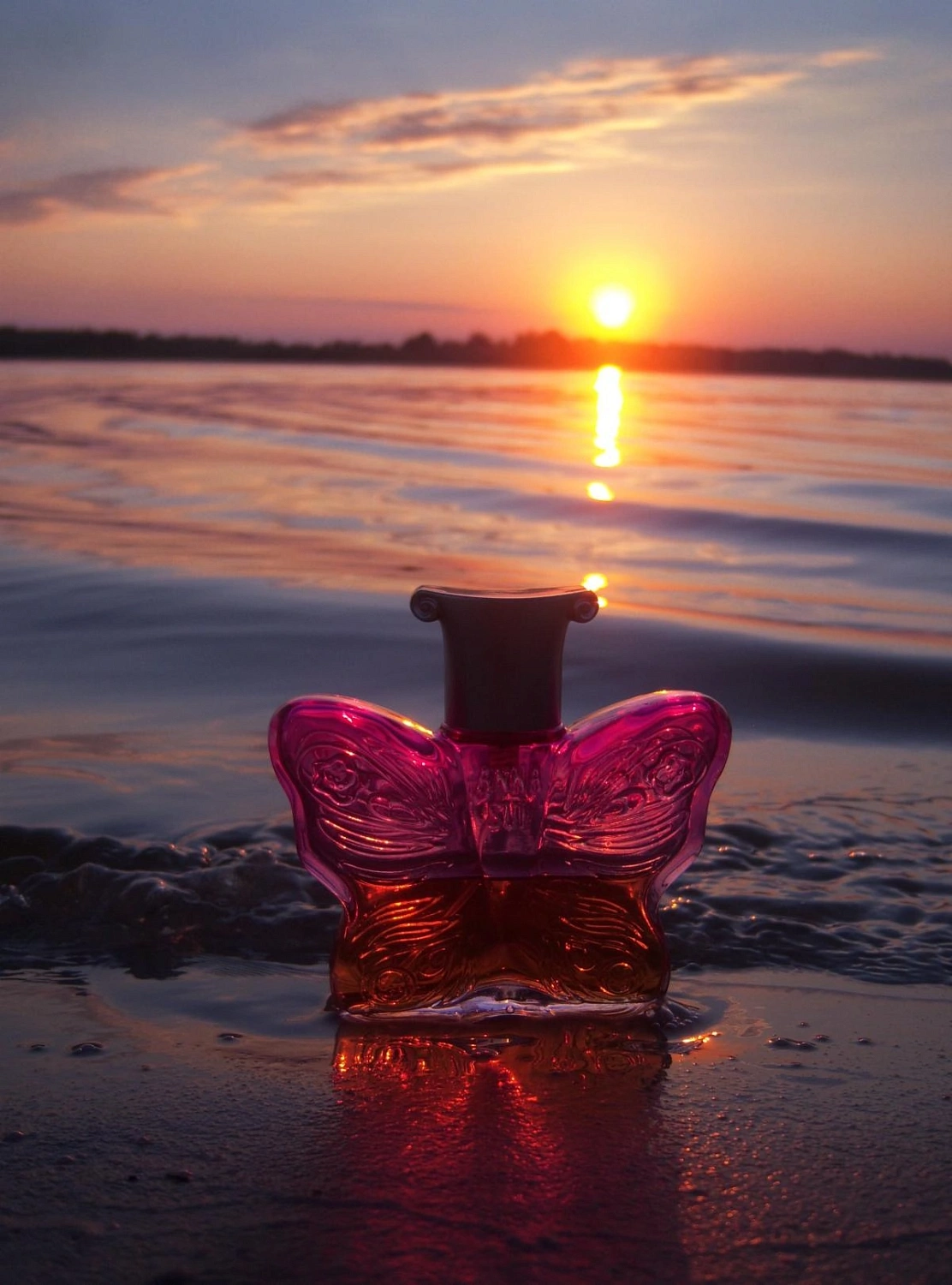 Anna Sui Love