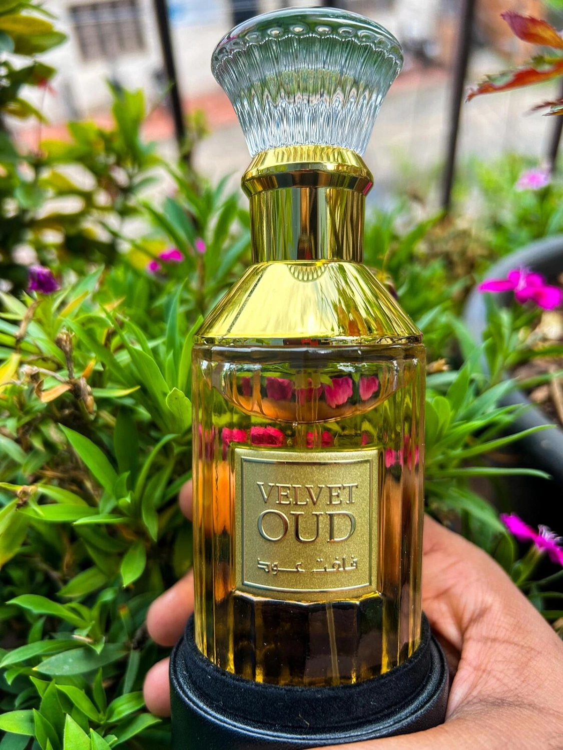 Lattafa Velvet Oud