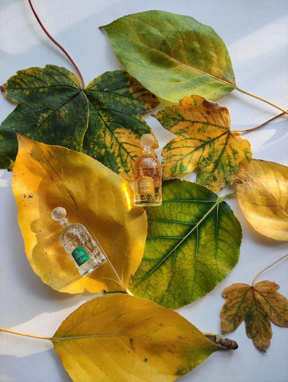 Guerlain Eau de Fleurs de Cedrat