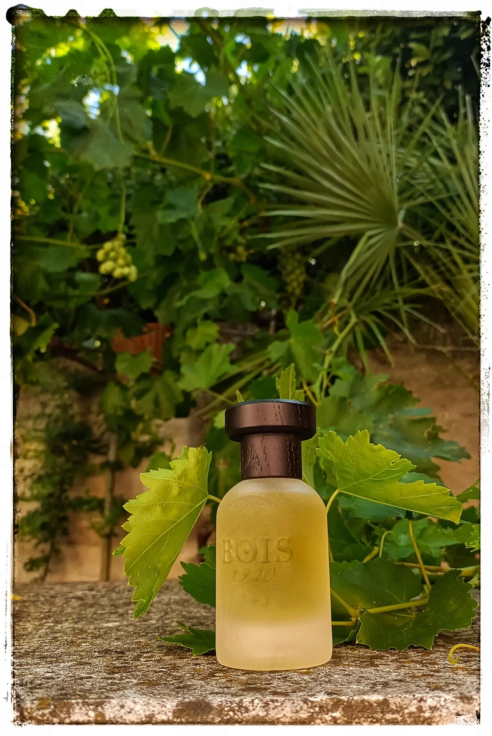 Bois 1920 Vetiver Ambrato